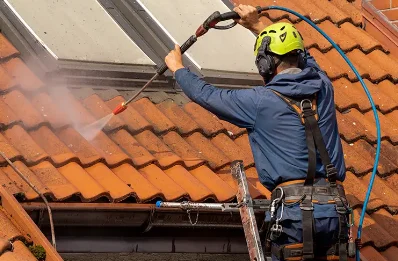 Démoussage et hydrofuge de toiture à Curciat-Dongalon